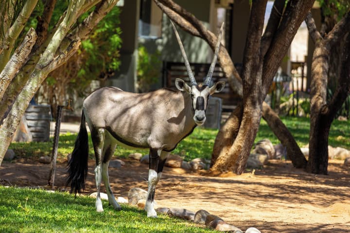 Namib Desert Lodge