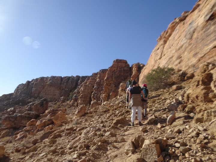 Canyon Village
