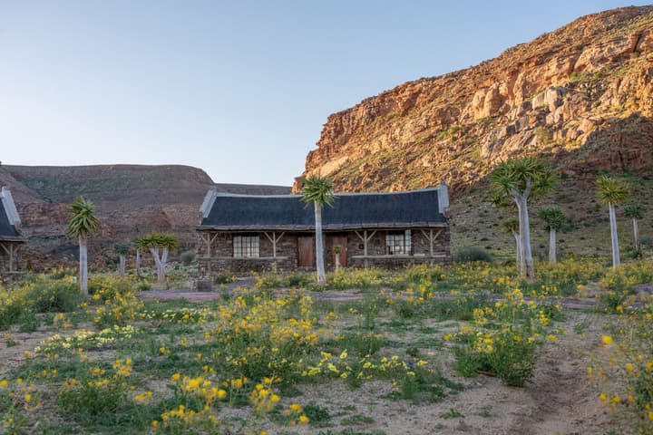 Canyon Village