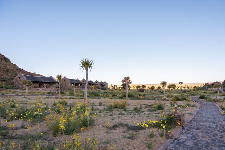 Canyon Village