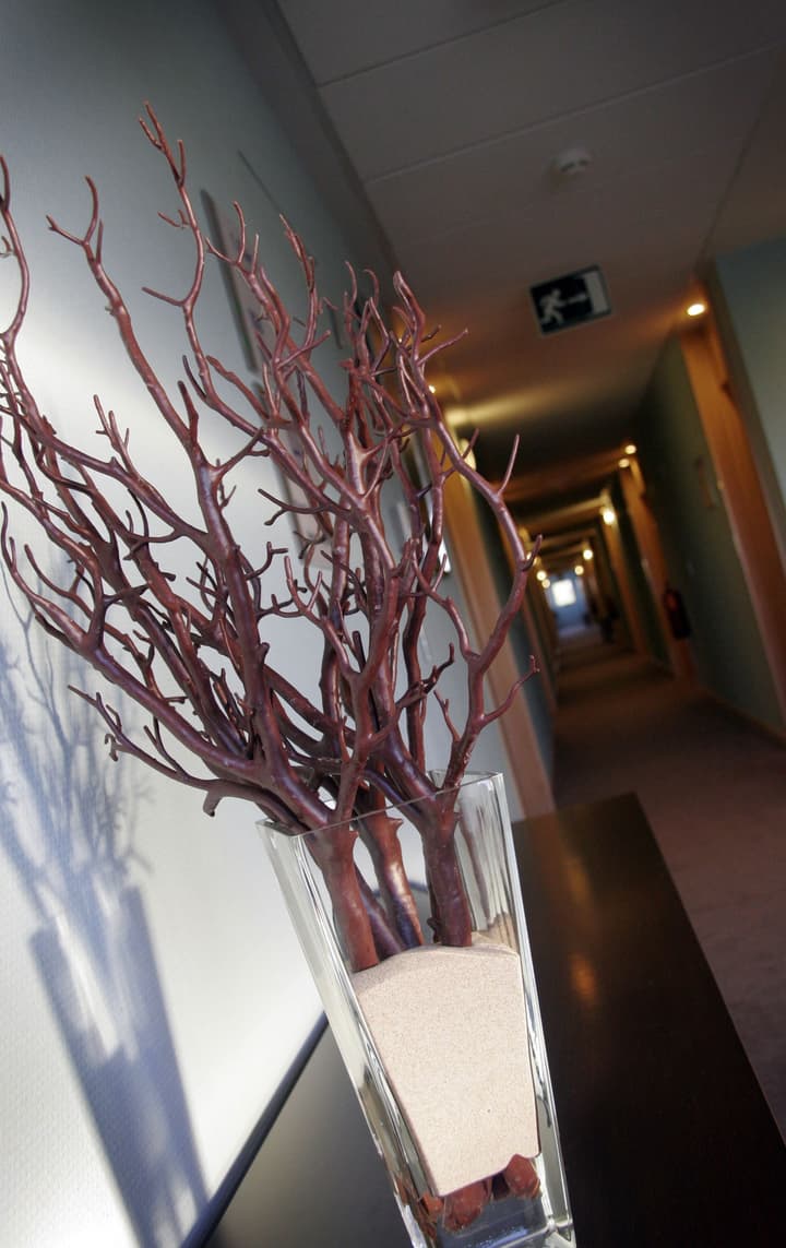 Holiday Inn Express Madrid - Getafe by IHG