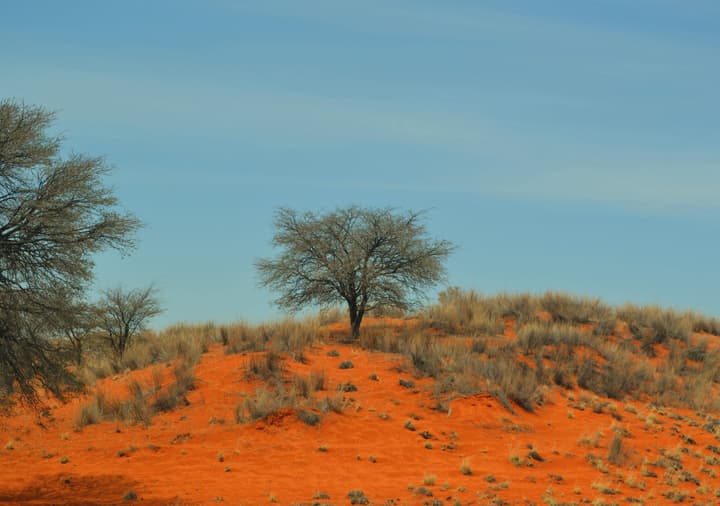 Kalahari Anib Lodge