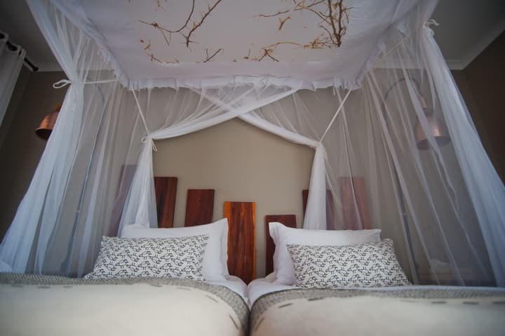 Kalahari Anib Lodge