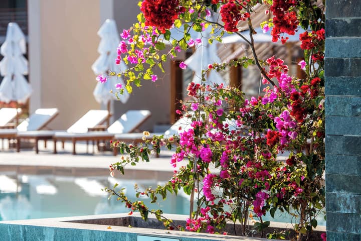The Legend Paracas Resort, a Destination by Hyatt Hotel