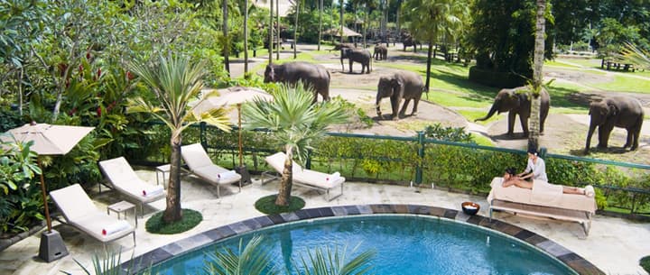 Mason Elephant Lodge