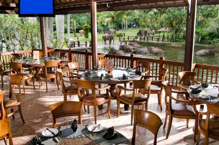 Mason Elephant Lodge