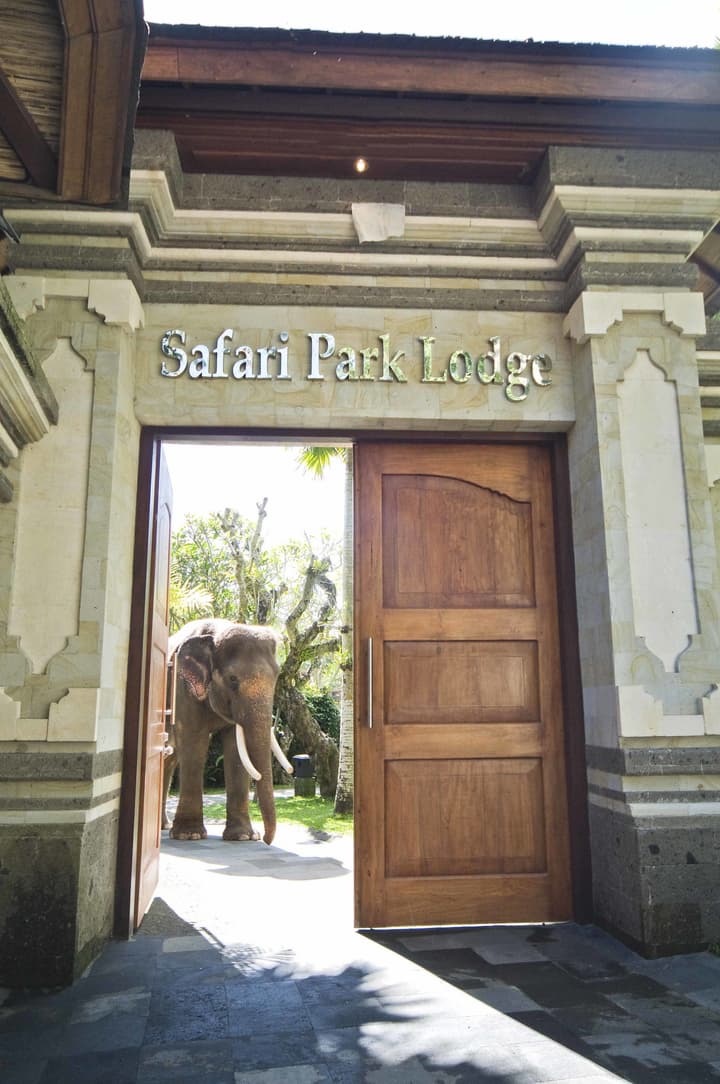 Mason Elephant Lodge