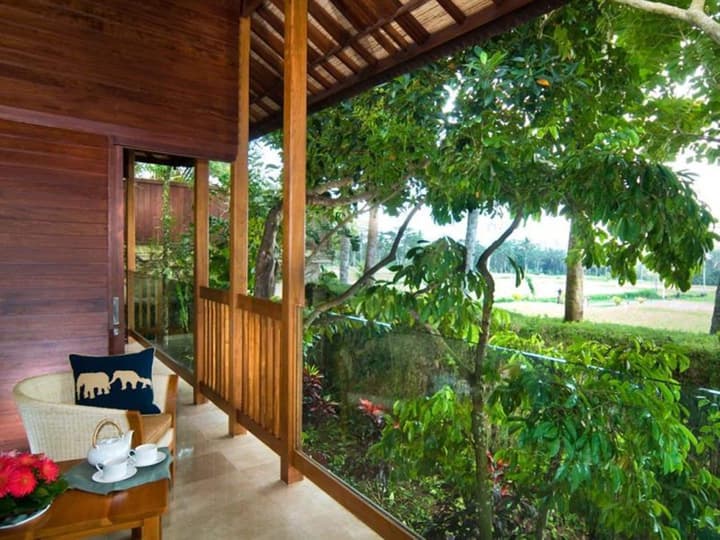 Mason Elephant Lodge