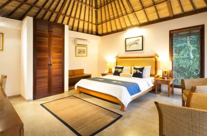 Mason Elephant Lodge