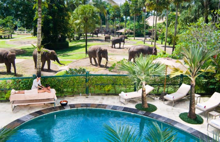 Mason Elephant Lodge