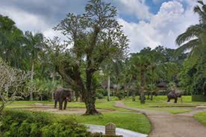 Mason Elephant Lodge