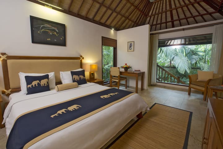 Mason Elephant Lodge