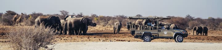 Mokuti Etosha