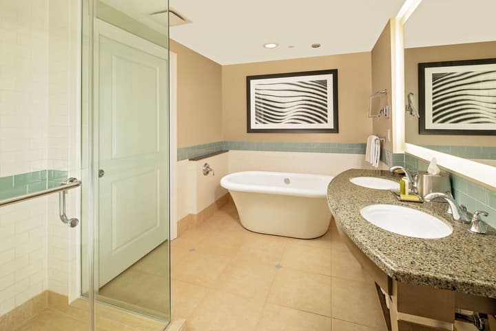 Hilton Grand Vacations Club Parc Soleil Orlando