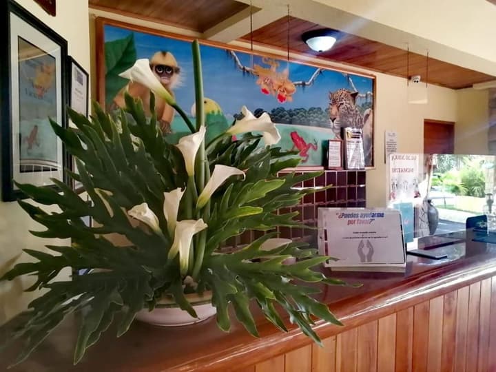 Hotel Amapola Resort
