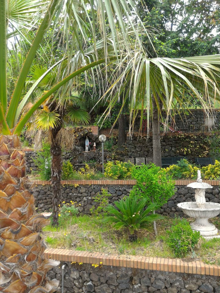 Hotel Primavera dell'Etna