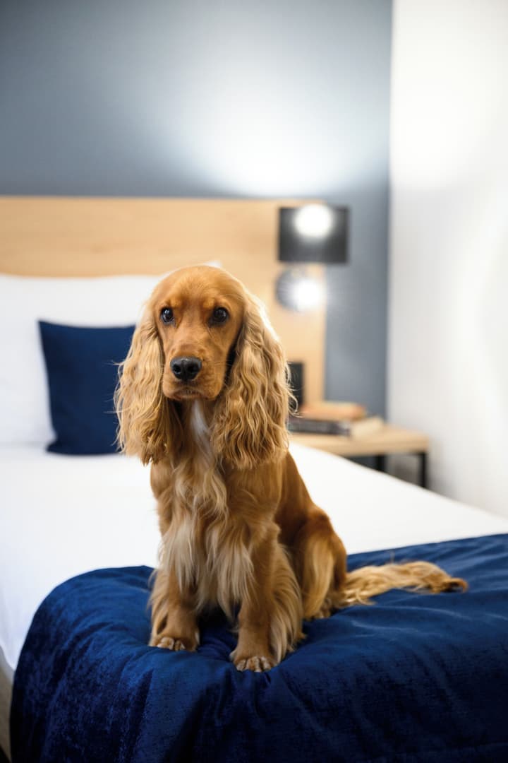 Hotel Bristol Budapest