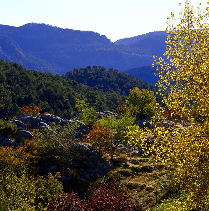 Parador De Cazorla