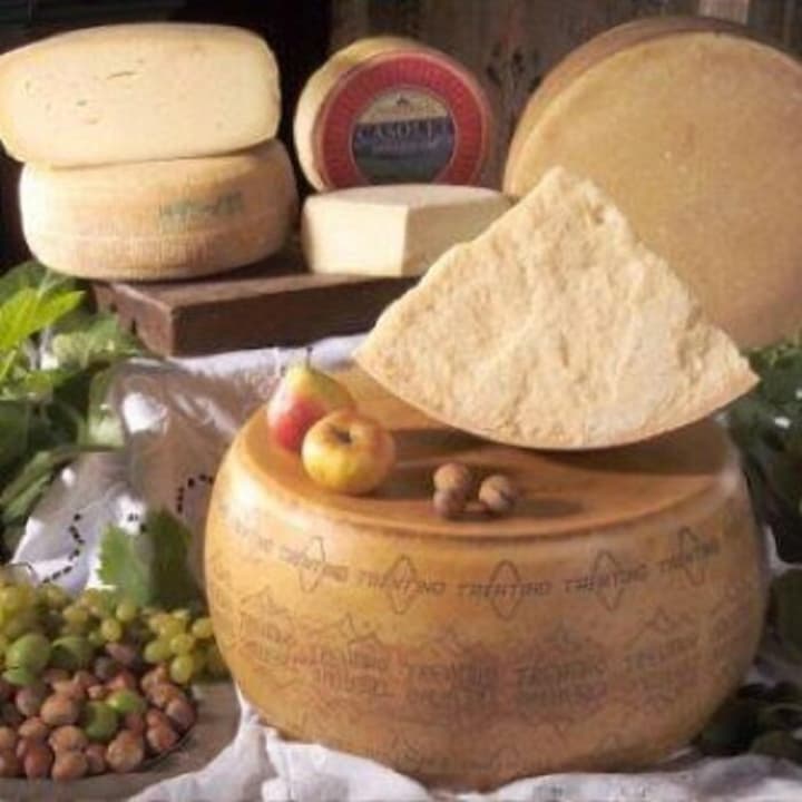 Stella delle Alpi