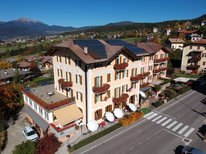 Stella delle Alpi