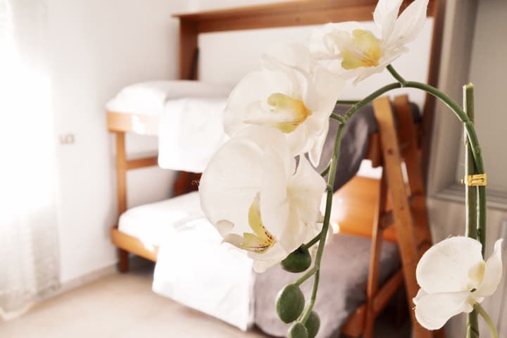 Hotel Colombo