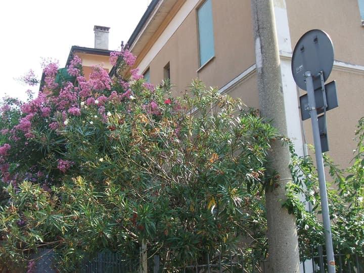 B&B Accorsi