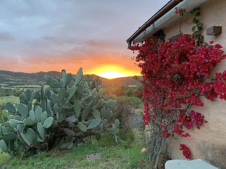 Hotel Glamping Borgo di Campagna