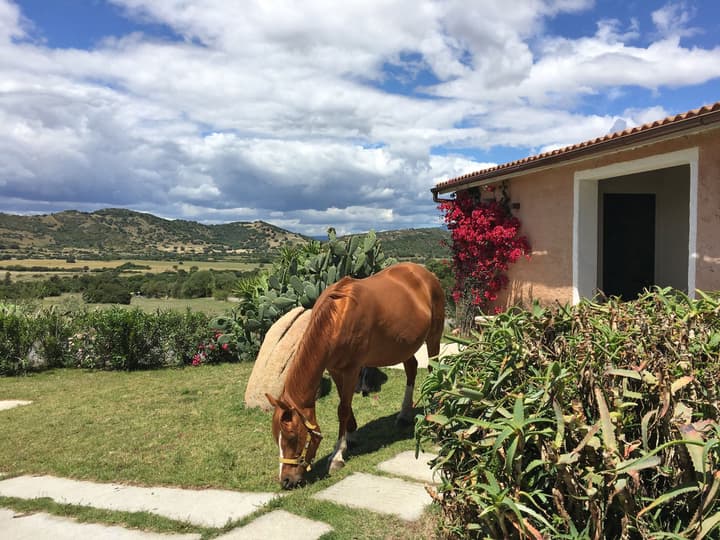 Hotel Glamping Borgo di Campagna