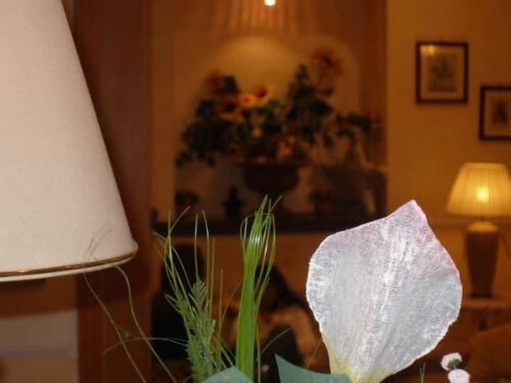 Hotel Lento