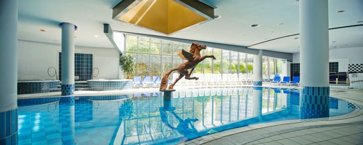 Grand Hotel Sava Superior