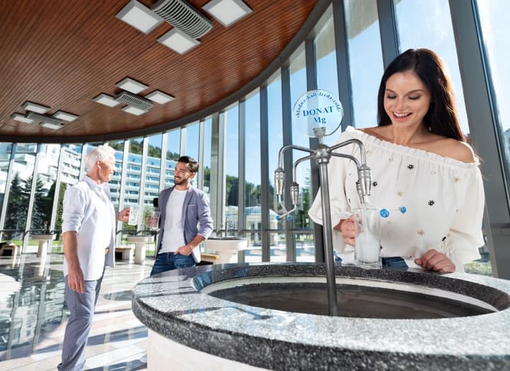 Grand Hotel Sava Superior