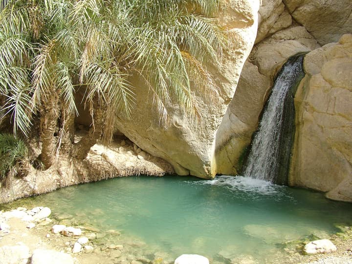 El Mouradi Tozeur