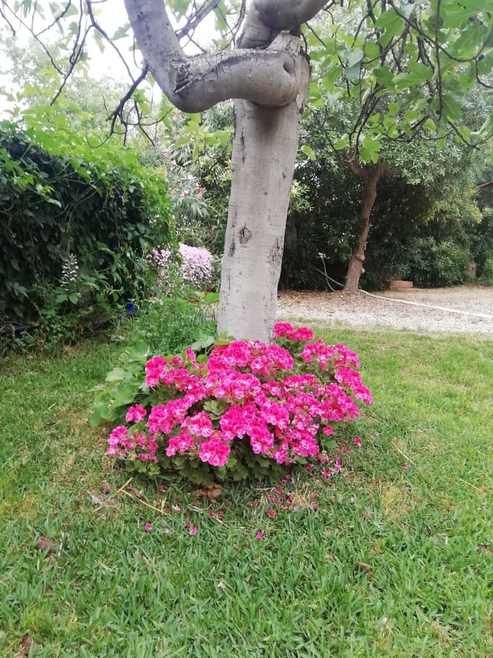 Villa Aresco