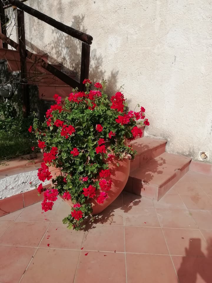 Villa Aresco