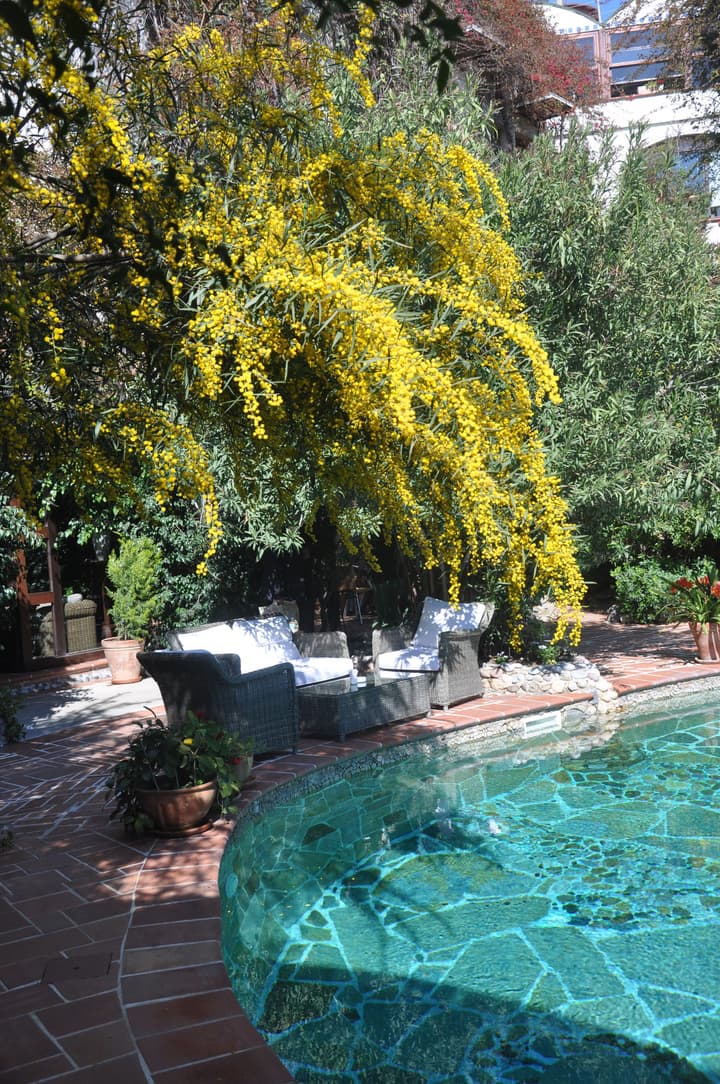 El Vino Hotel Suites - Special Class