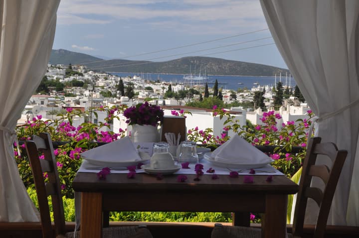 El Vino Hotel Suites - Special Class