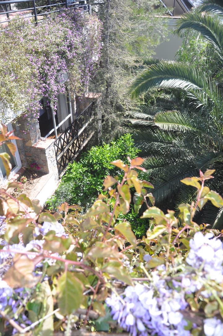 El Vino Hotel Suites - Special Class