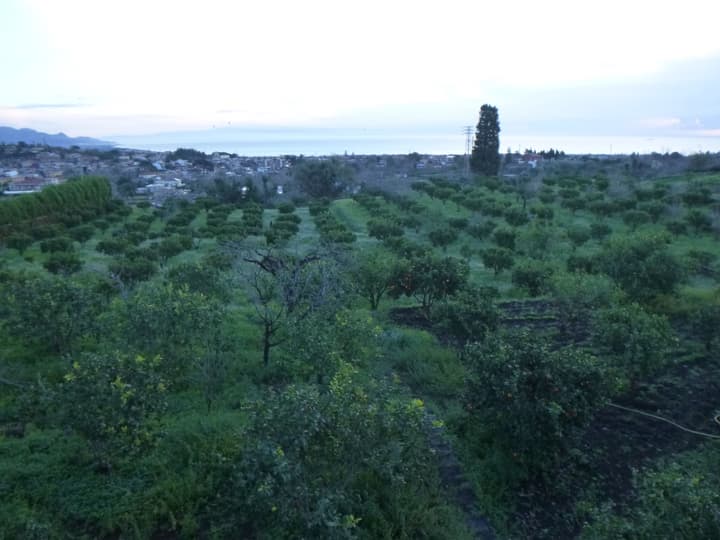 Baglio delle Rose
