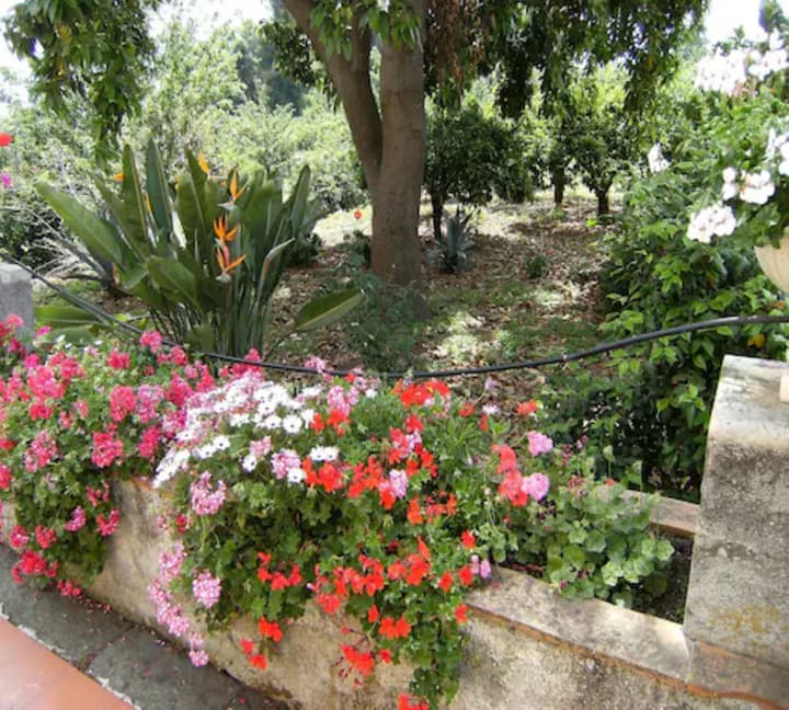 Baglio delle Rose