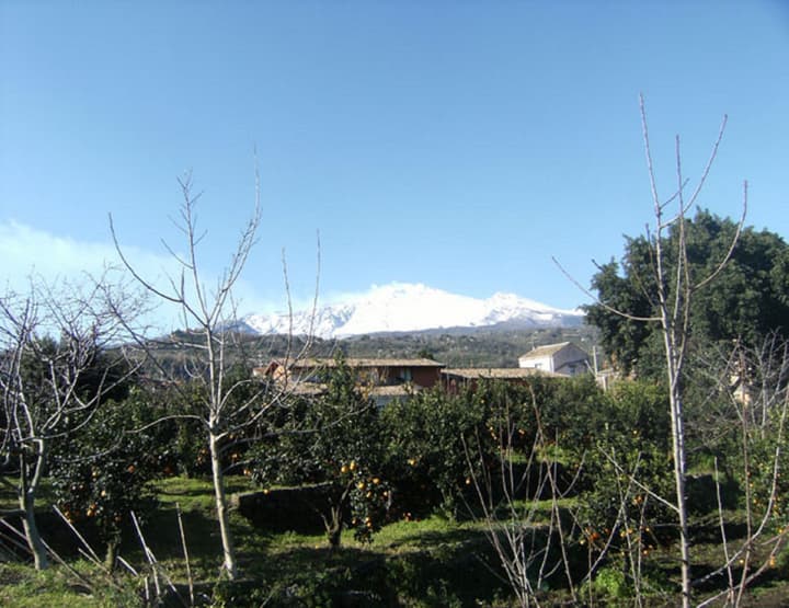 Baglio delle Rose