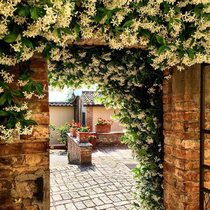 Hotel Santa Caterina