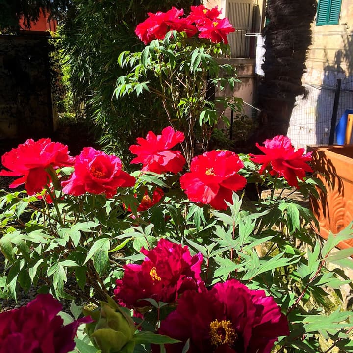 Hotel Santa Caterina