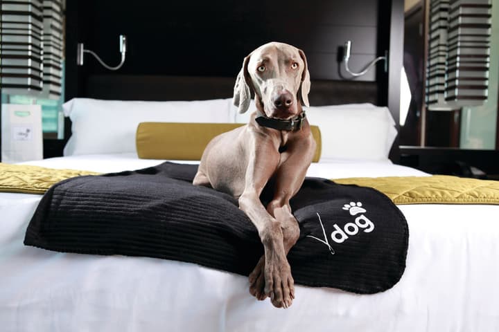 Vdara Hotel & Spa at ARIA Las Vegas