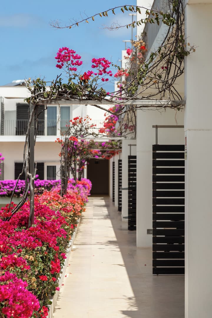 Hotel Dunas de Sal