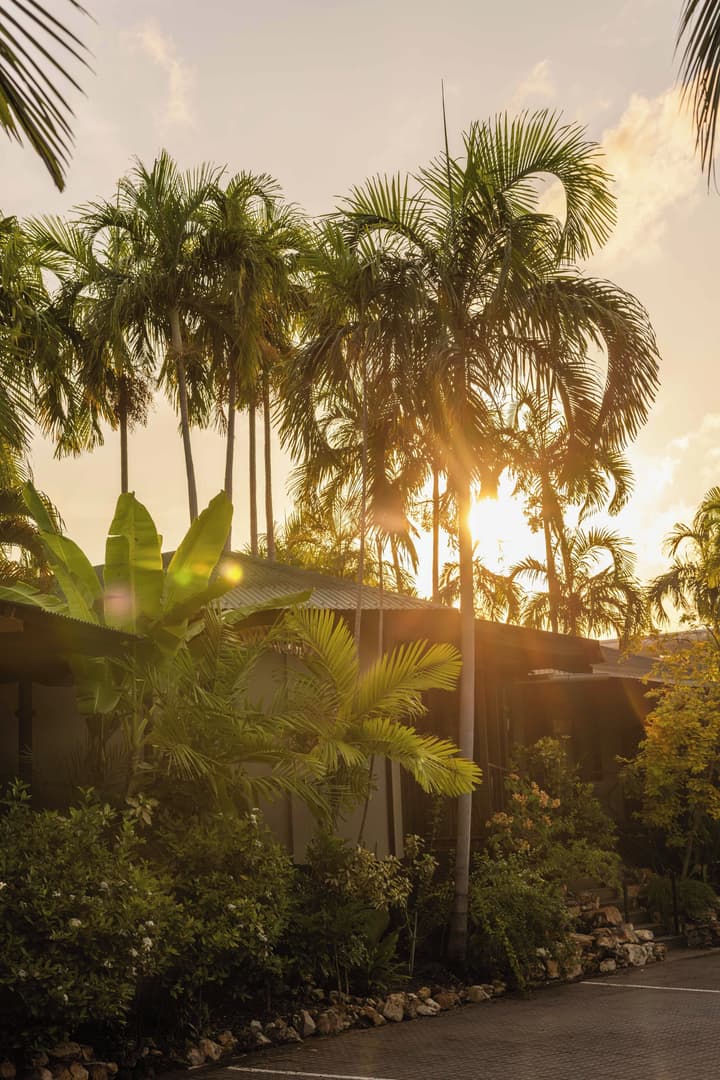 Palms City Resort