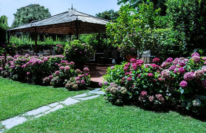 Hotel Franceschi