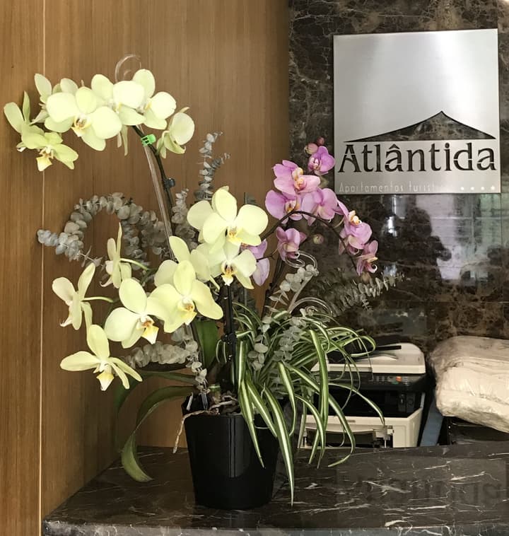 Apartamentos Turisticos Atlantida