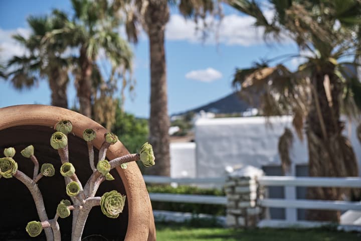 Paros Bay Hotel