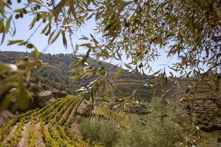 Hotel Rural Quinta do Silval