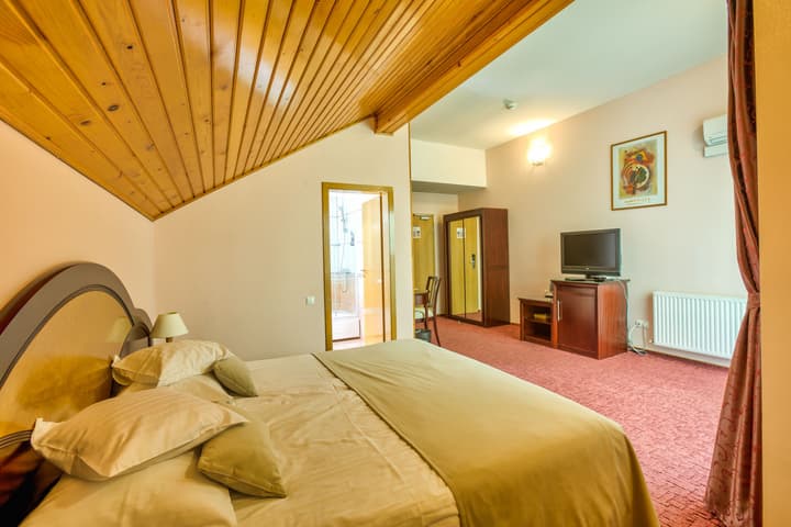 Hotel Ambient